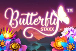 Butterfly Staxx