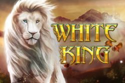 White King